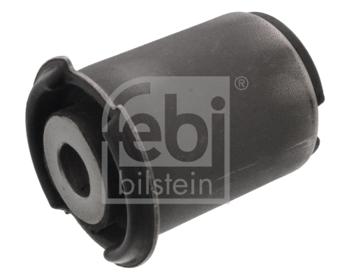 Mounting, control/trailing arm